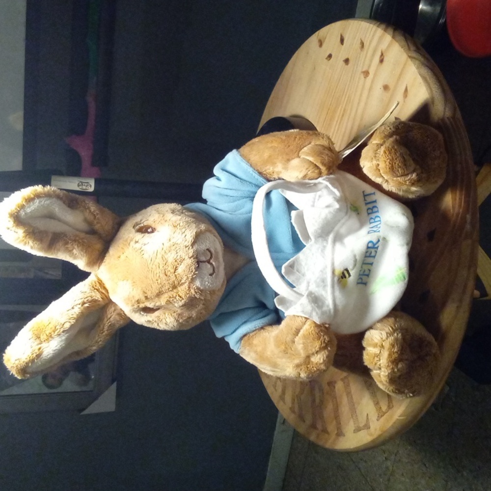 Peter Rabbit Plush Toy with Blue Jacket & Book Bundle